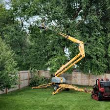 Best Leaf Removal  in Wabasso, FL